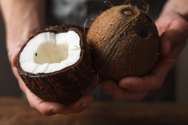 Coconuts holding in hands. Unrecognizable man or woman show you exotic nut with fresh white pulp