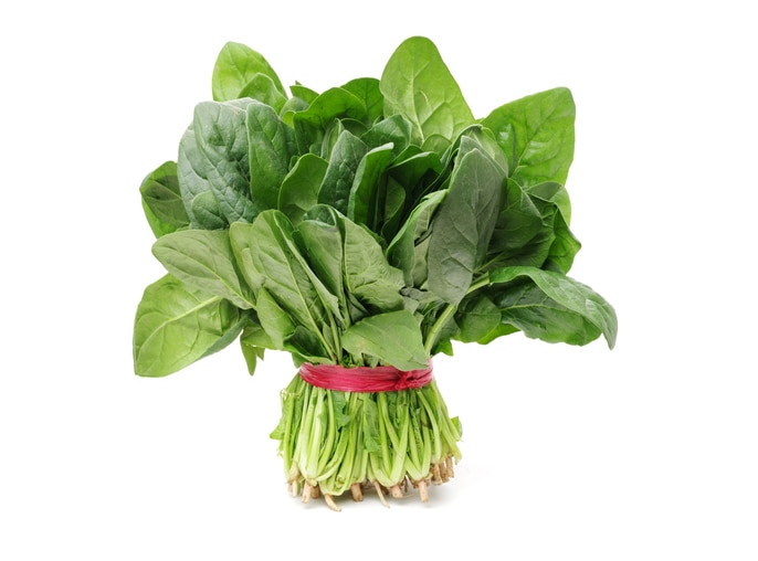 Spinach bunch isolated on white background