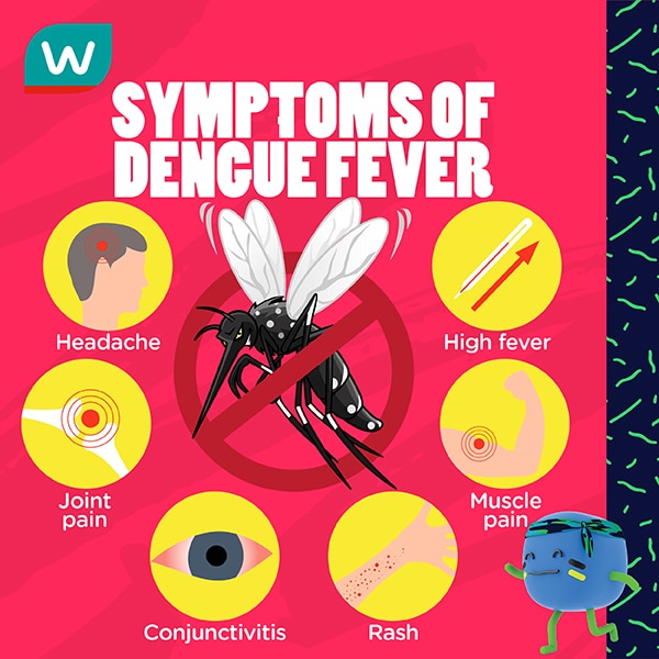 Symptoms of dengue fever