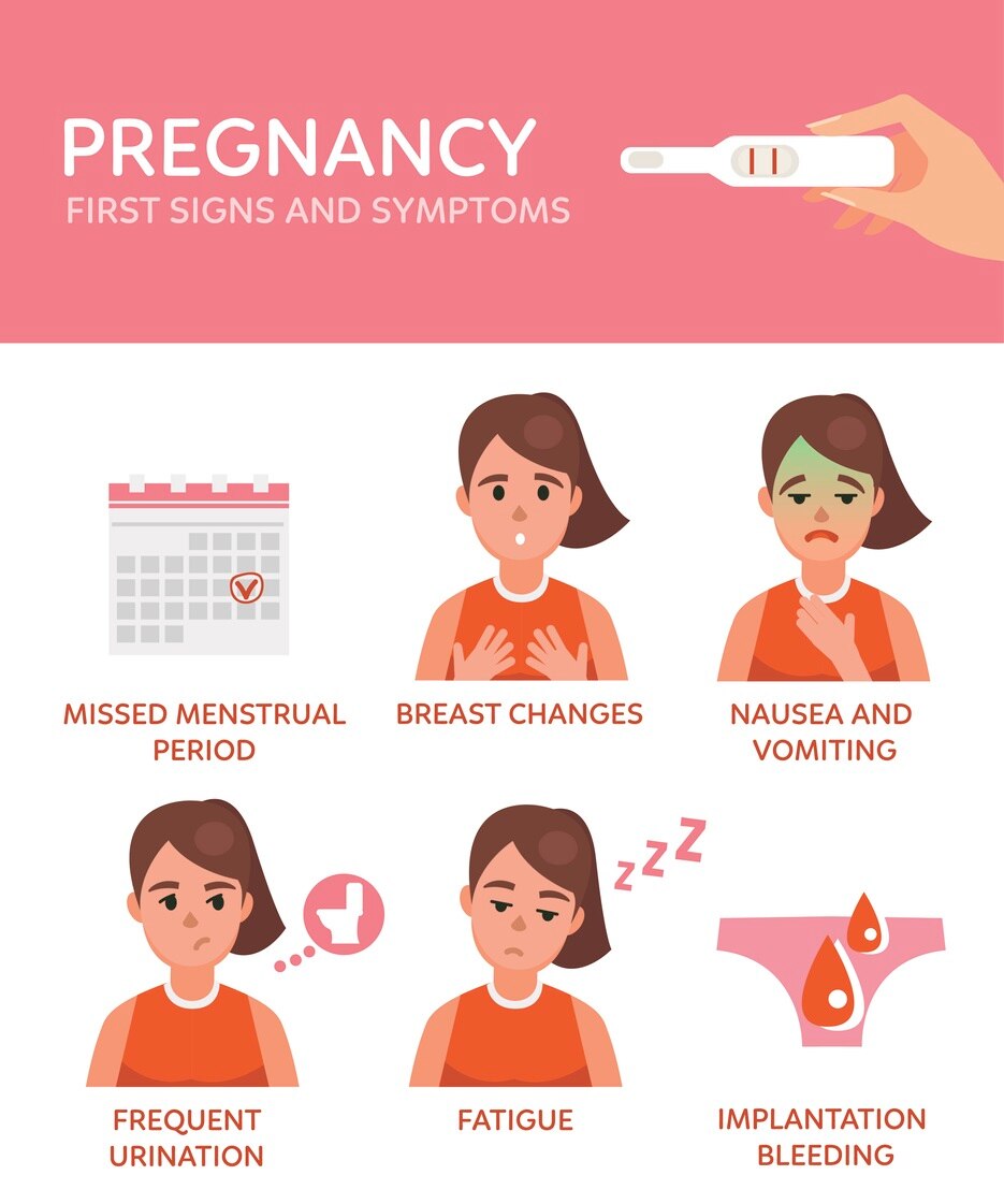 Pregnancy vector infographic about signs and symptoms.