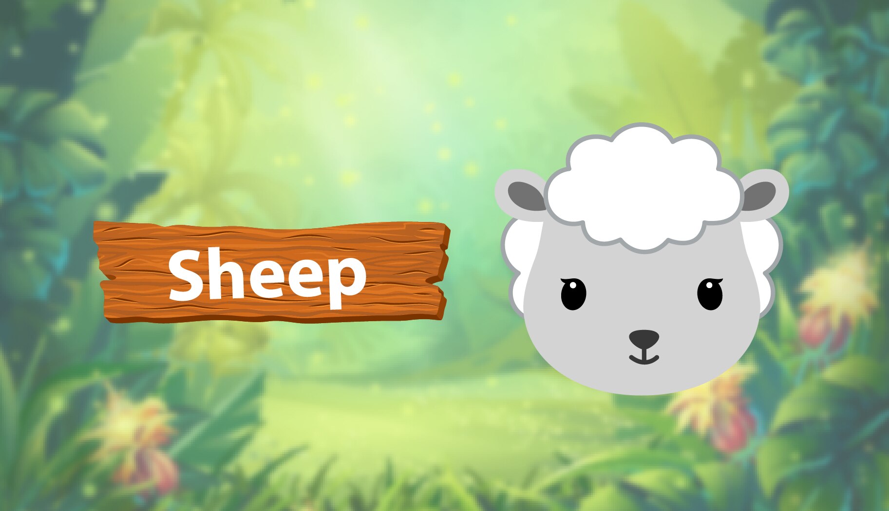 Sheep