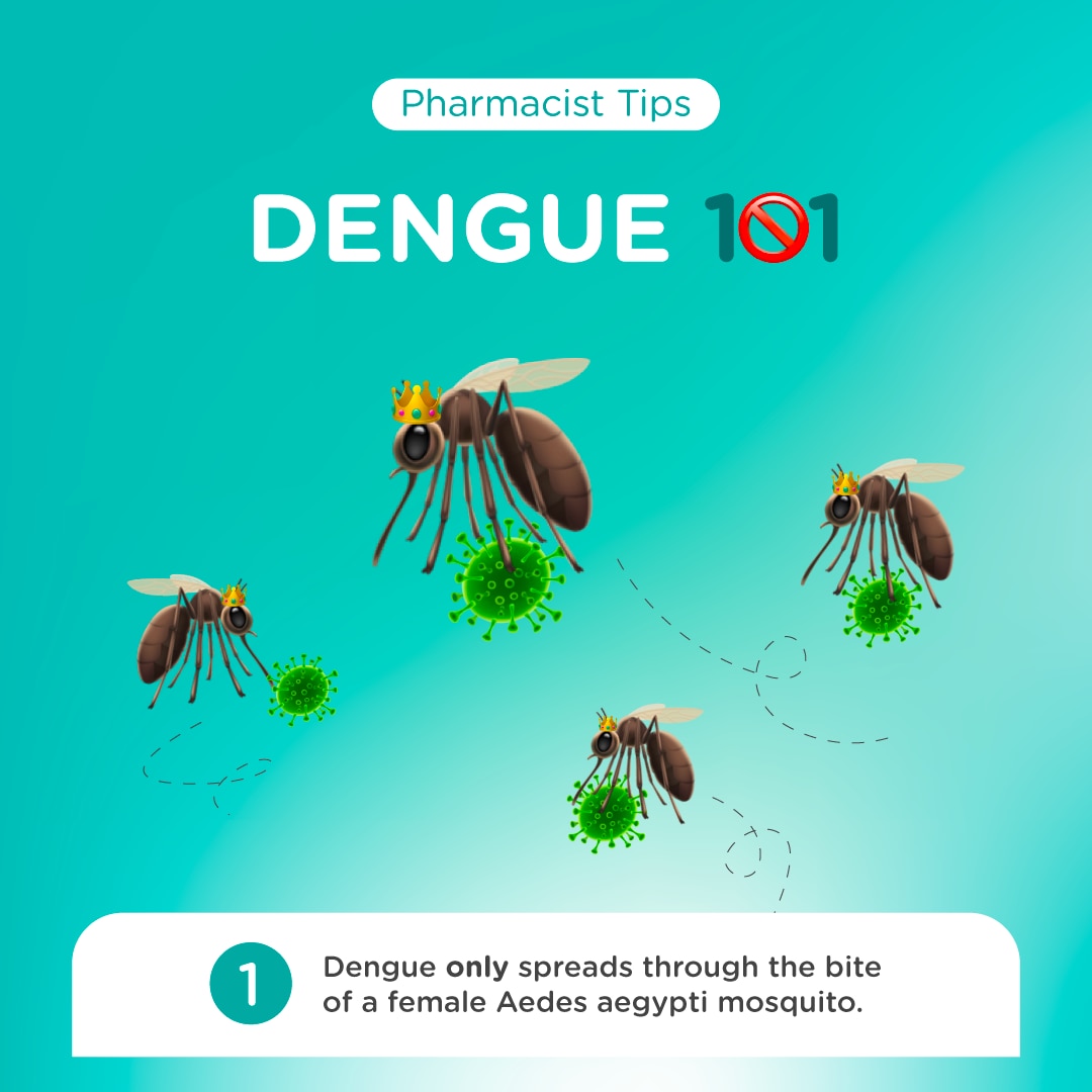 what is dengue fever