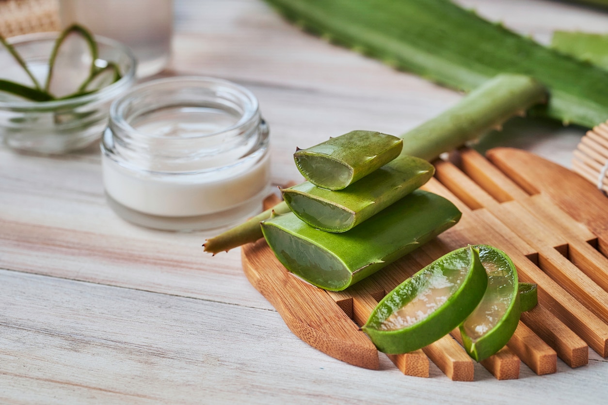 Aloe vera