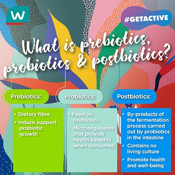 what is prebiotics, probiotics, postbiotics?