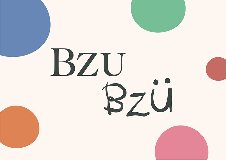 Bzu Bzu