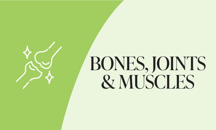 Range banner -  bones-joint.jpg