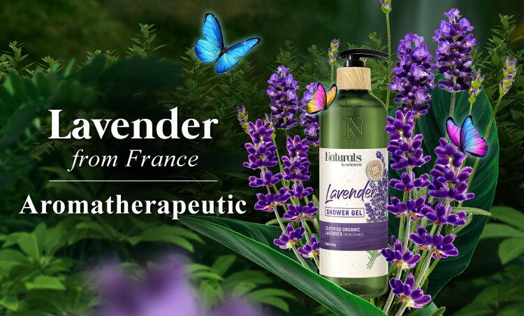 WBS2022221-Range-Banner-Lavender.jpg