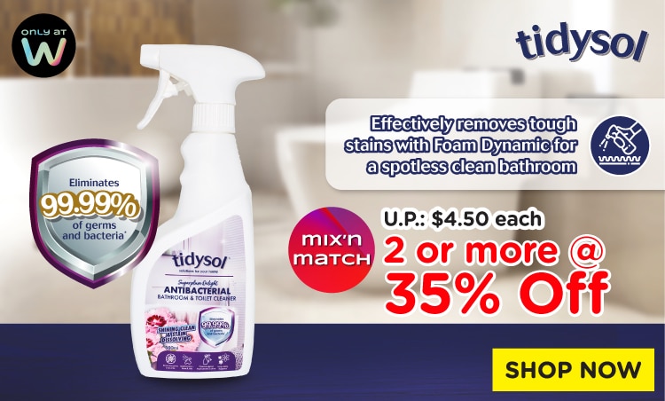WBS2026894 P11 OB digi banners Tidysol Bathroom Cleaner 750x452px image