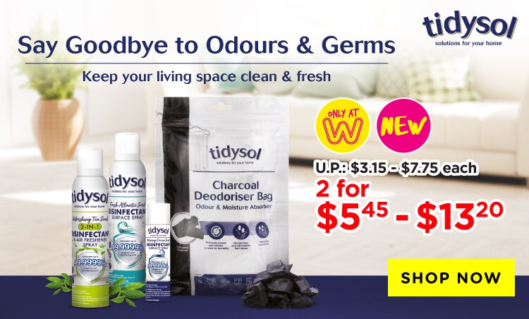 WS2022124---P12-Digi-Banners---TIDYSOL-Household-Range---FA.jpg