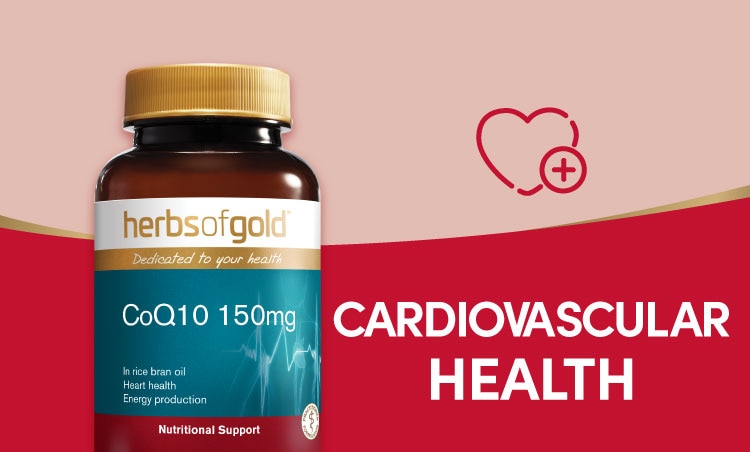 range banner 4- cardiovascular.jpg