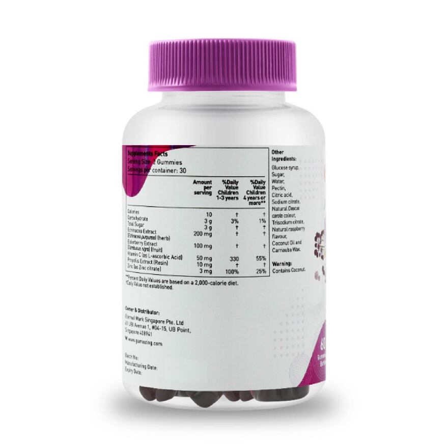 Elderberry Immunity Natural Raspberry Flavour Gummies for Kids 60s-91458.jpg